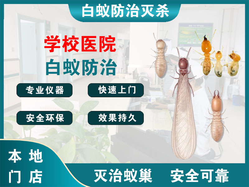 鼓楼学校医院白蚁防治