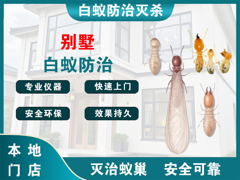 鼓楼别墅白蚁防治